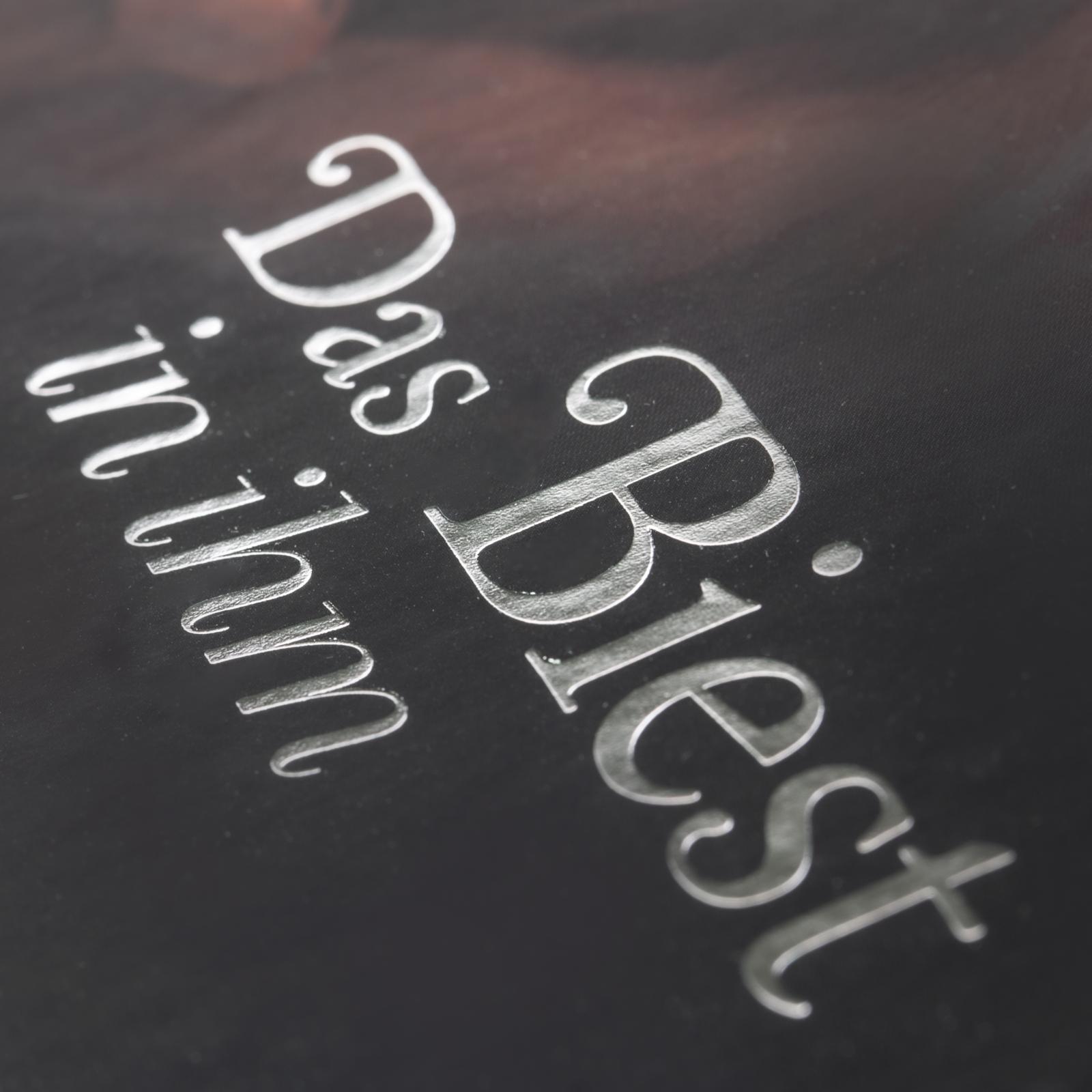 Disney Villains Bd.2: Das Biest in ihm