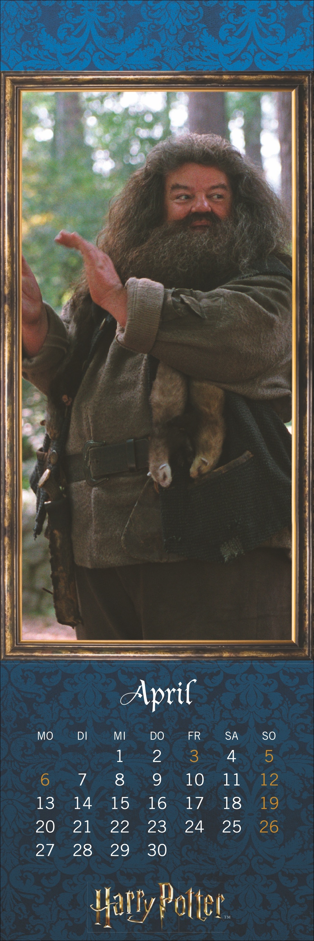 Harry Potter: Lesezeichen & Kalender 2026 Harry Potter: Lesezeichen & Kalender 2026
