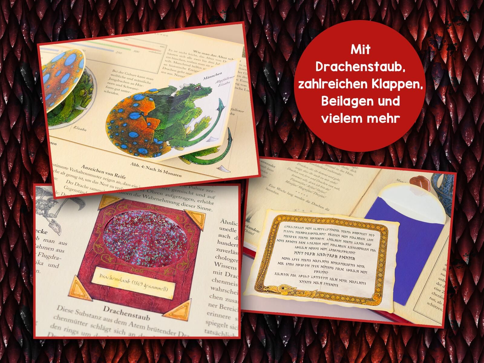 Expedition in die geheime Welt der Drachen Drachenflügel?, Drache, Bilderbuchseiten, Illustration, rote Rundung
