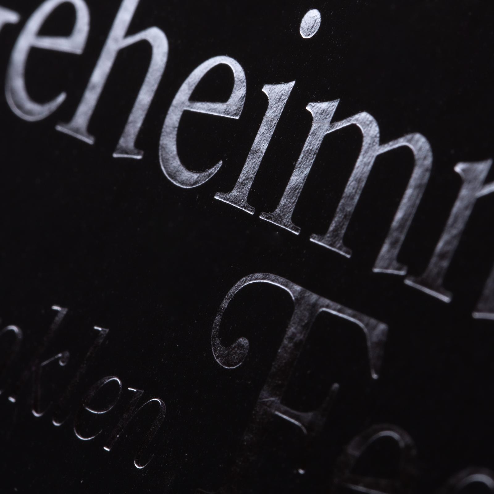 Disney Villains Bd.4: Das Geheimnis der Dunklen Fee