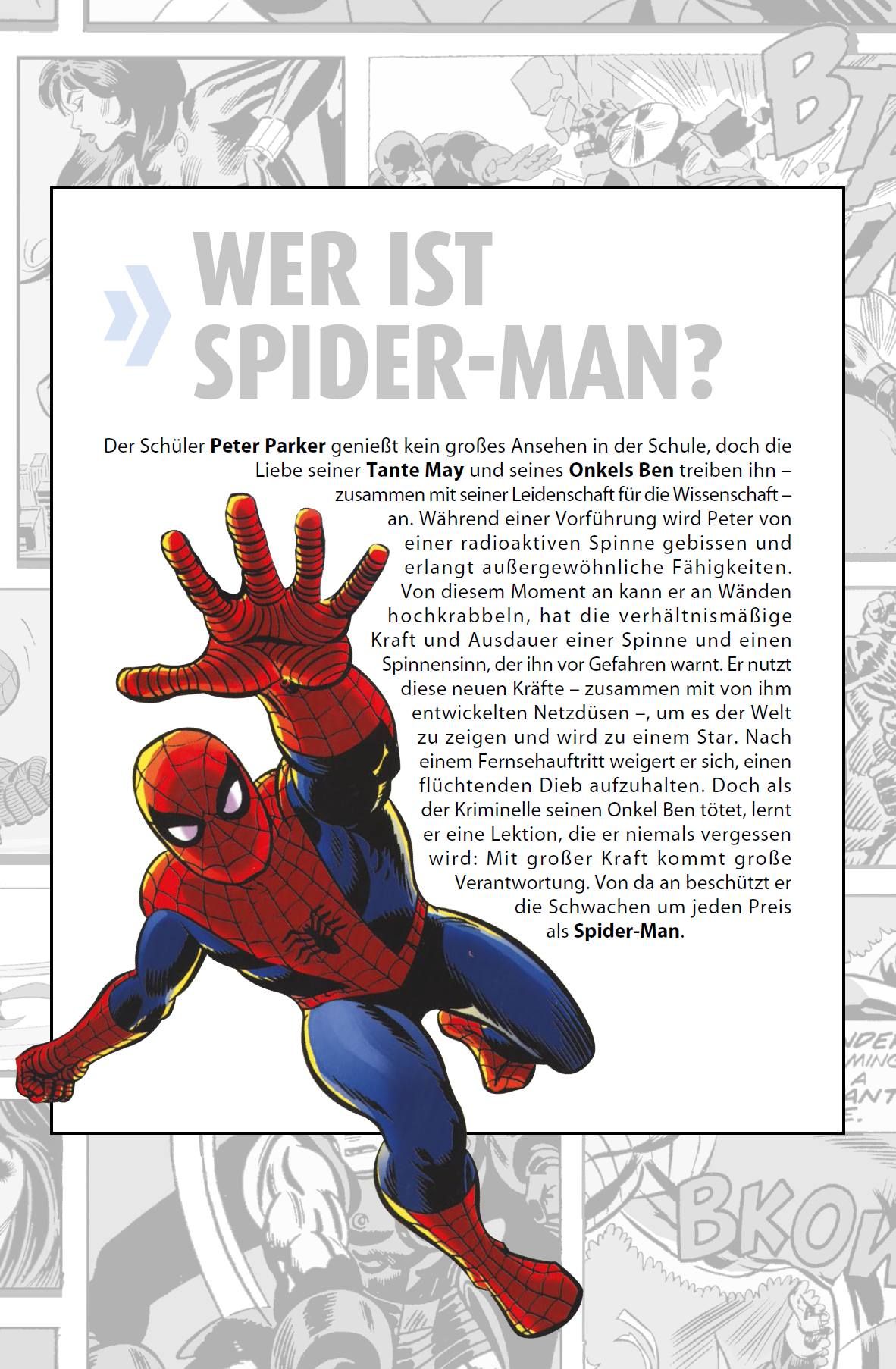 Spider-Man, Superheld, Comic-Helden, Rotes Kostüm, Spinne-Netz-Design