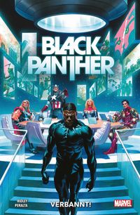 Comics, Black Panther, Superheld, Stadt-Szene, Verrannt?