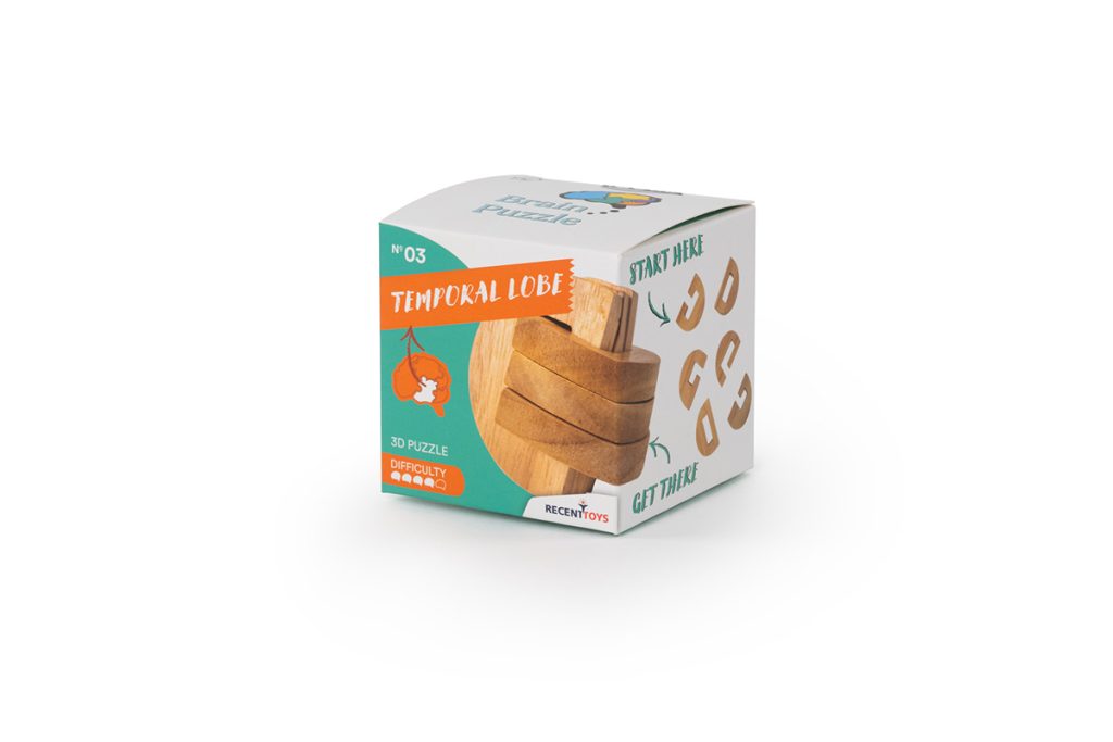 Brain Puzzle N03: Temporal Lobe