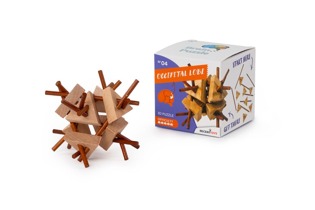 Brain Puzzle N04: Occipital Lobe Brain Puzzle N04: Occipital Lobe