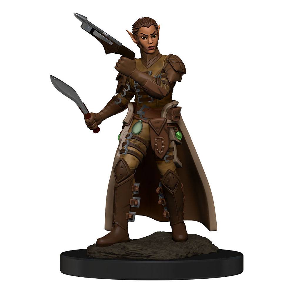 D&D Miniatures: Shifter Rogue