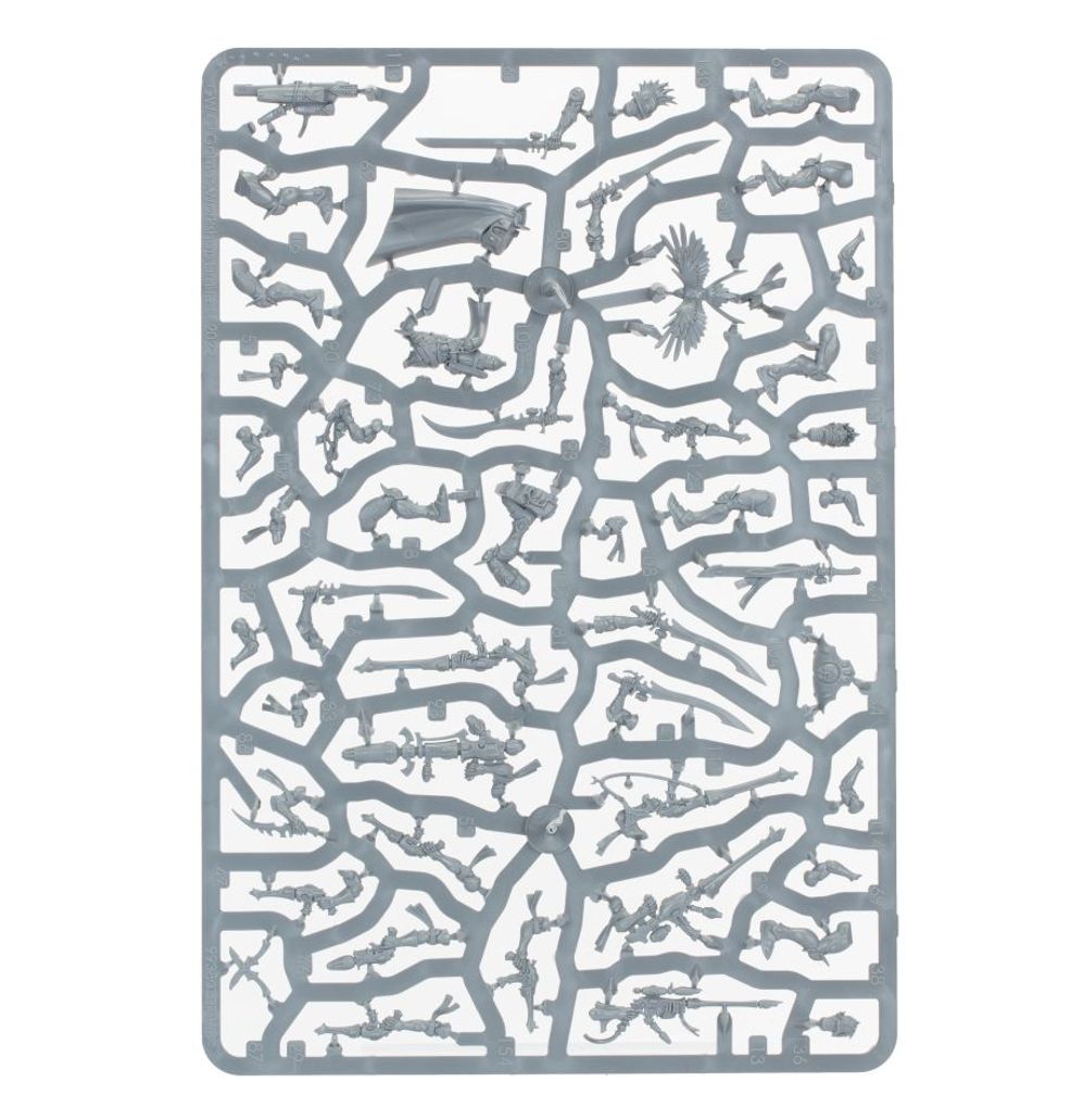 Warhammer 40K: Kill Team - Corsair Voidscarred Warhammer 40K: Kill Team - Corsair Voidscarred