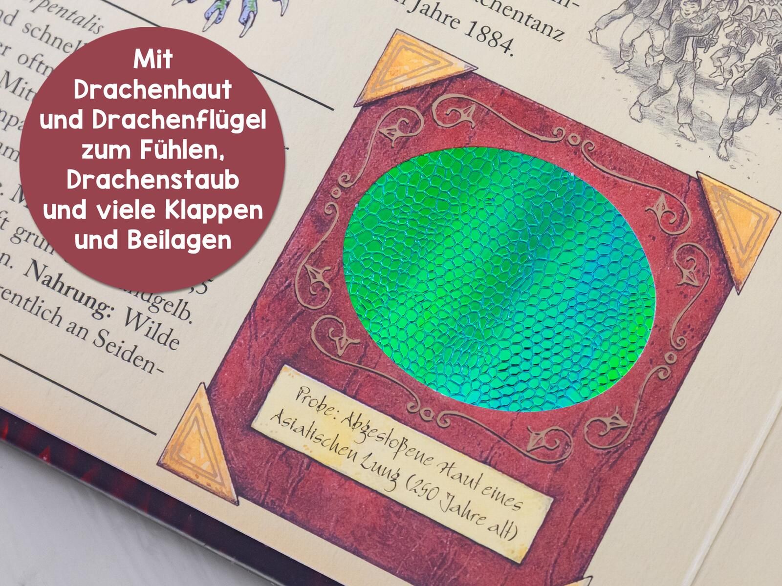 Expedition in die geheime Welt der Drachen magische Buch, Drachenschuppen, holografisches Muster, roter Rand, goldene Ecken