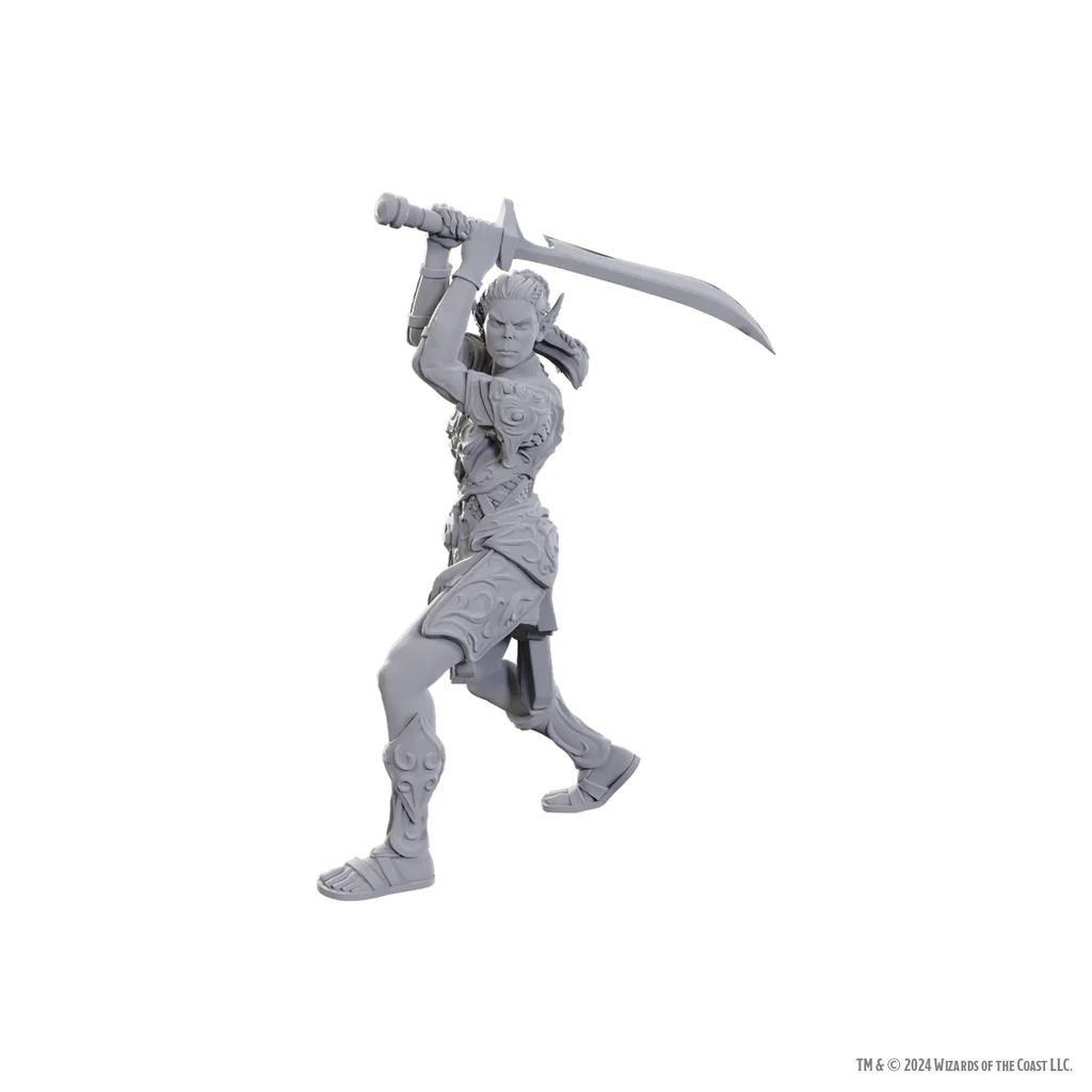 D&D Miniatures: Baldur's Gate - Lae'zel & Shadowheart D&D Miniatures: Baldur's Gate - Lae'zel & Shadowheart