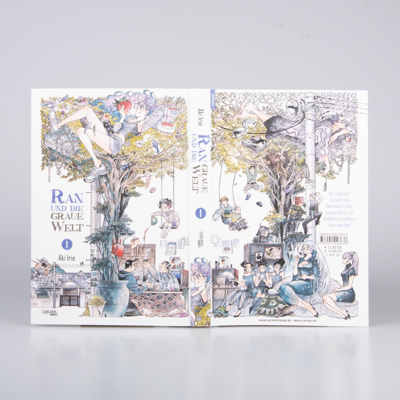 Ran und die graue Welt Bd.1 Ran und die graue Welt Bd.1