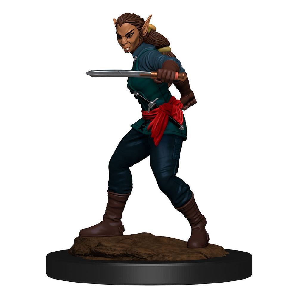 D&D Miniatures: Shifter Rogue D&D Miniatures: Shifter Rogue