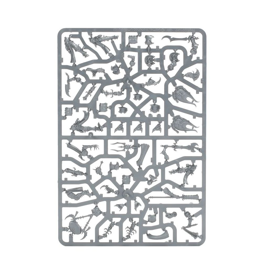 Warhammer: Hedonites of Slaanesh - Myrmidesh Painbringers