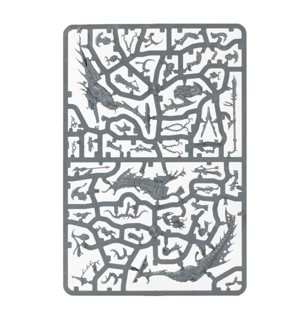 Warhammer: Hedonites of Slaanesh - Vanguard