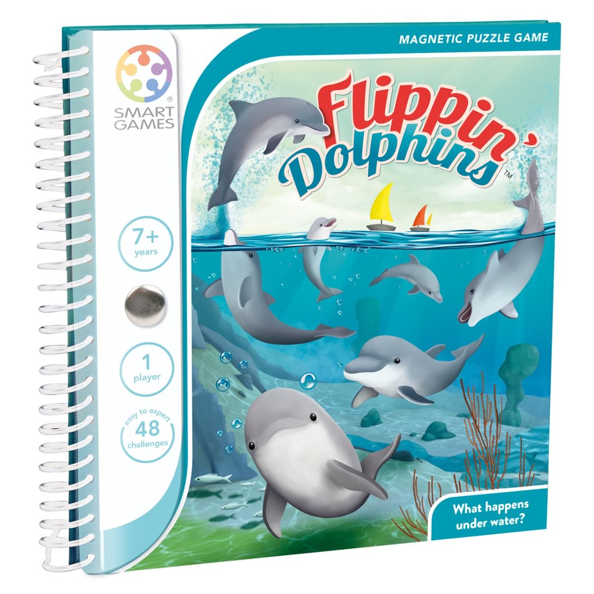 Flippin' Dolphins Flippin' Dolphins