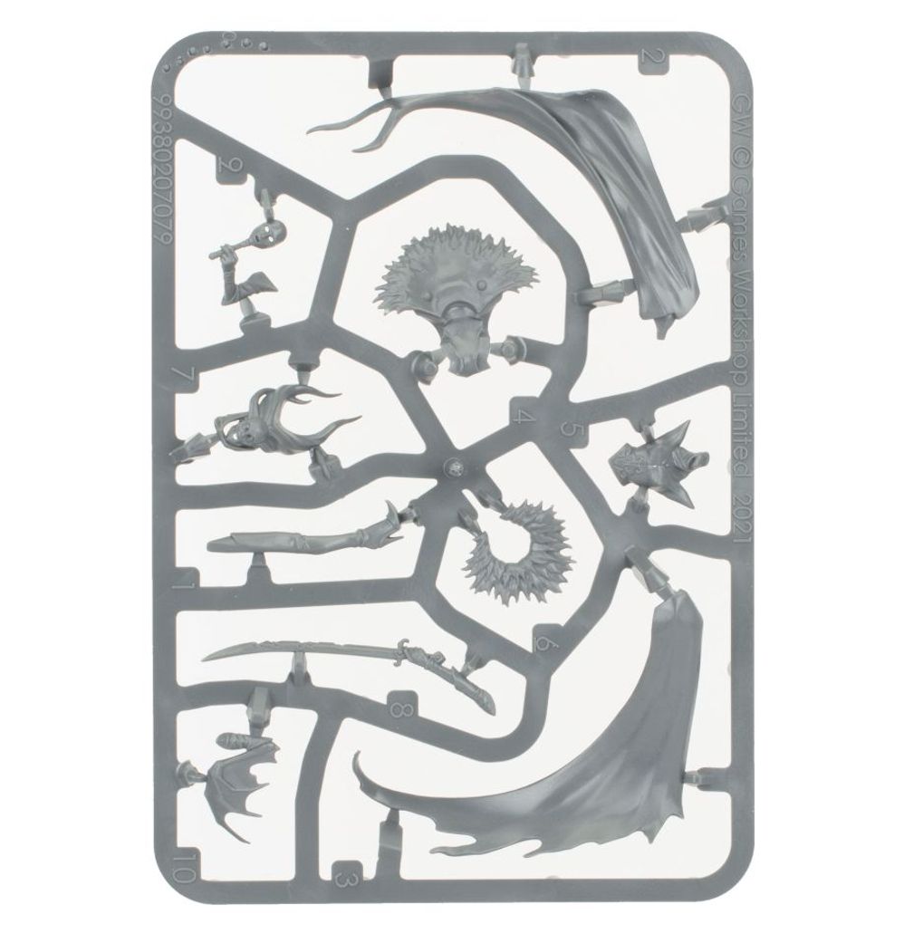 Warhammer: Soulblight Gravelords - Lady Annika, The Thirsting Blade