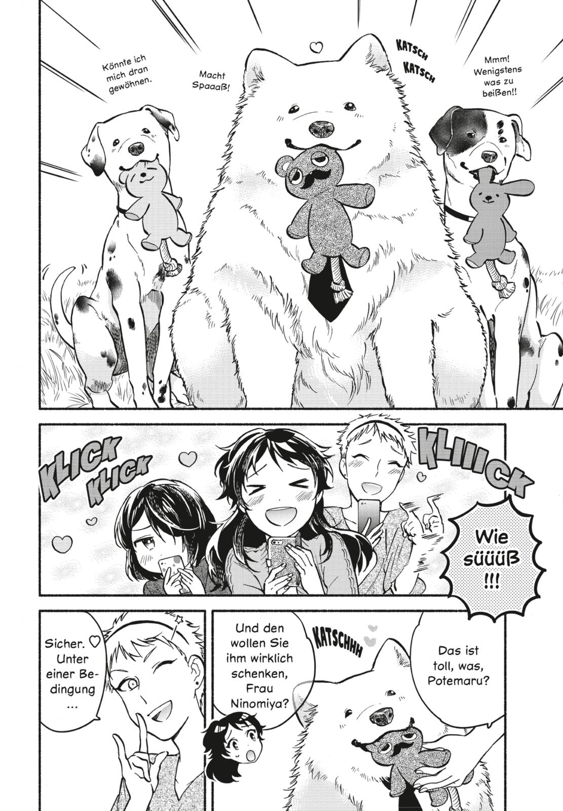 One Room Dog Bd.2