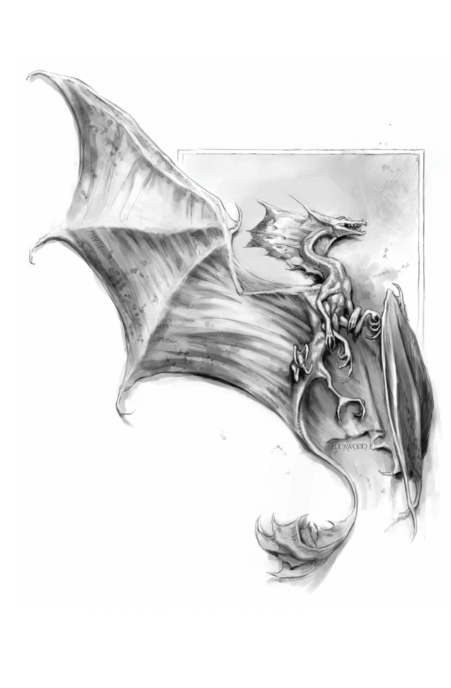Drachen, Flügel, Schwarzweiß, Skizze, Zeichnung