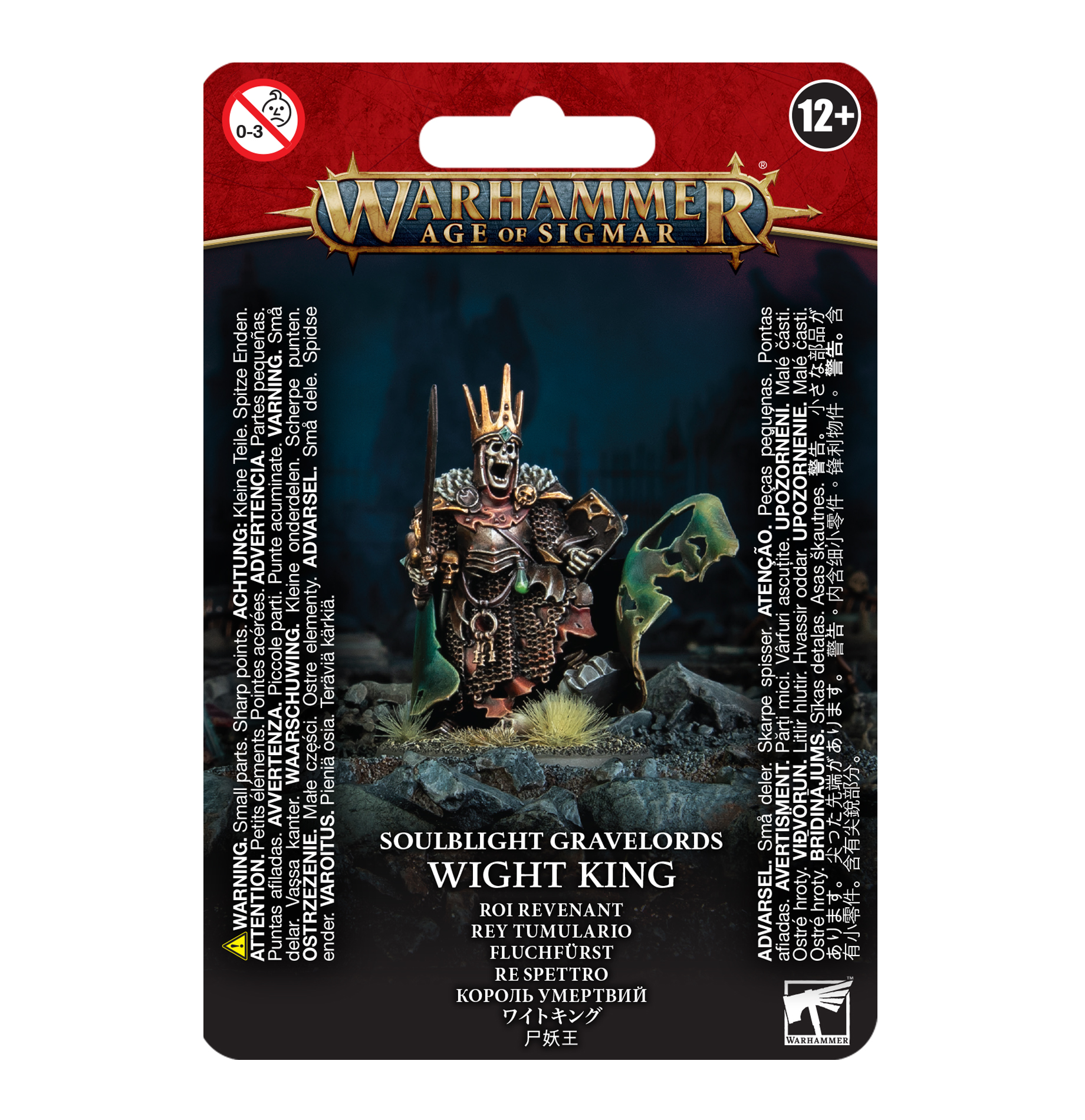 Age of Sigmar: Soulblight Gravelors - Wight King Person
