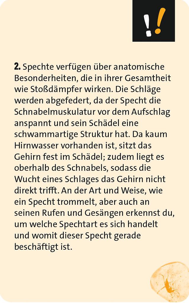 Quizzen & Wissen: Alltagsrätsel Spargel, Spachtel?, …