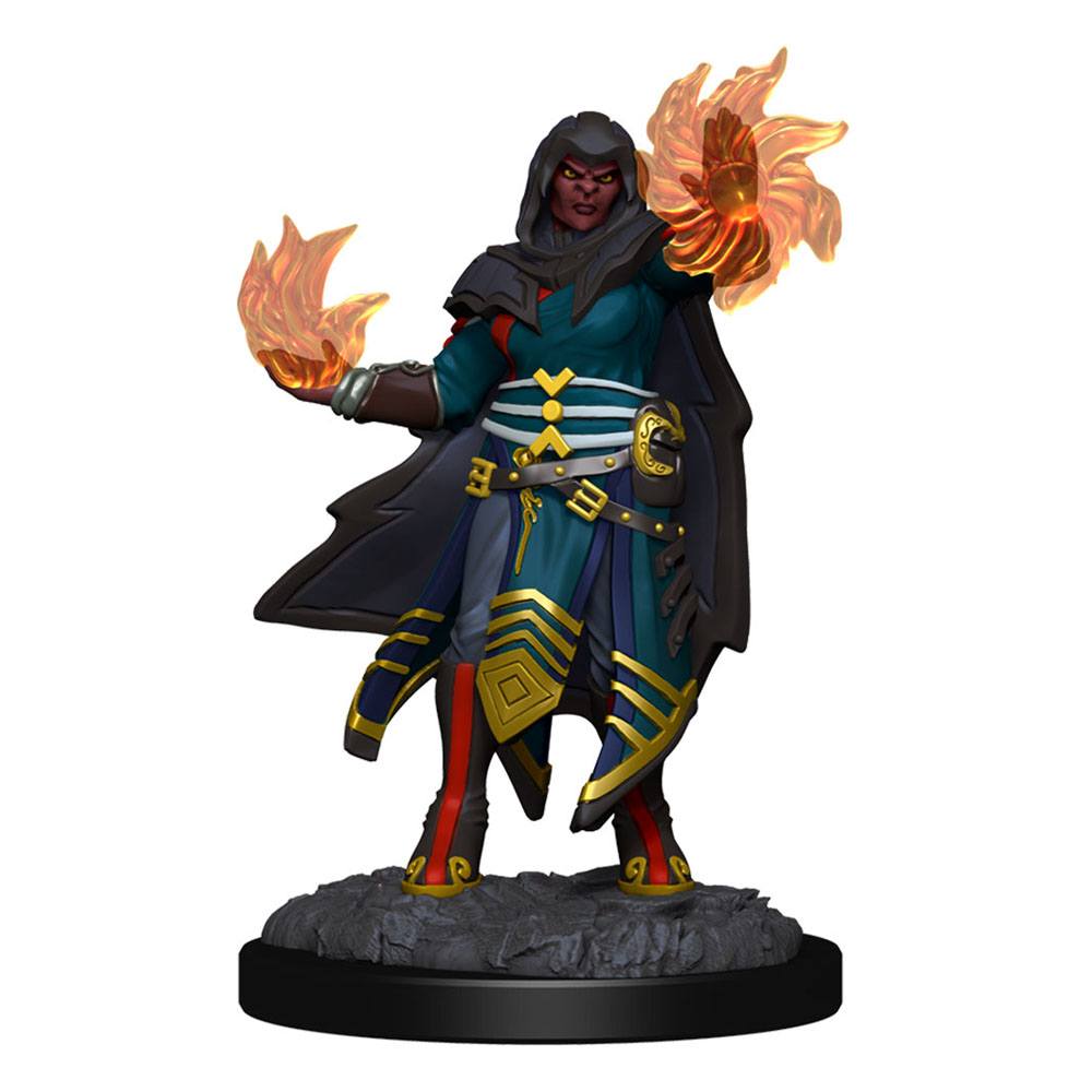 D&D Miniatures: Hobgoblin Fighter & Hobgoblin Wizard