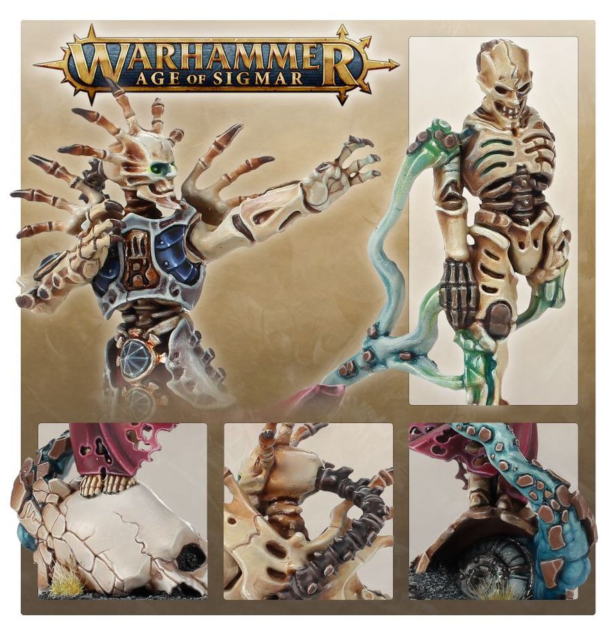 Warhammer, Age of Sigmar, Skelett, Schädel, Modell