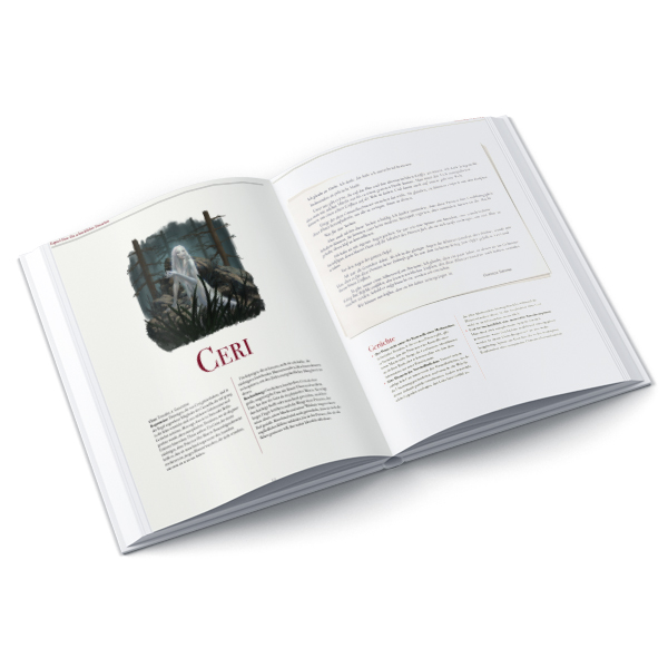 Buch, Offen, Bild, Textseite, Layout