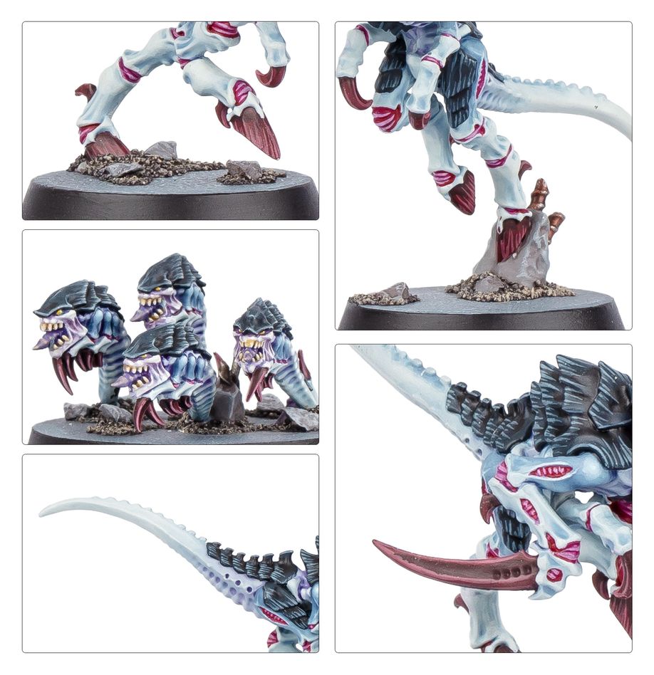 Warhammer 40K: Kill Team - Typhon dt.