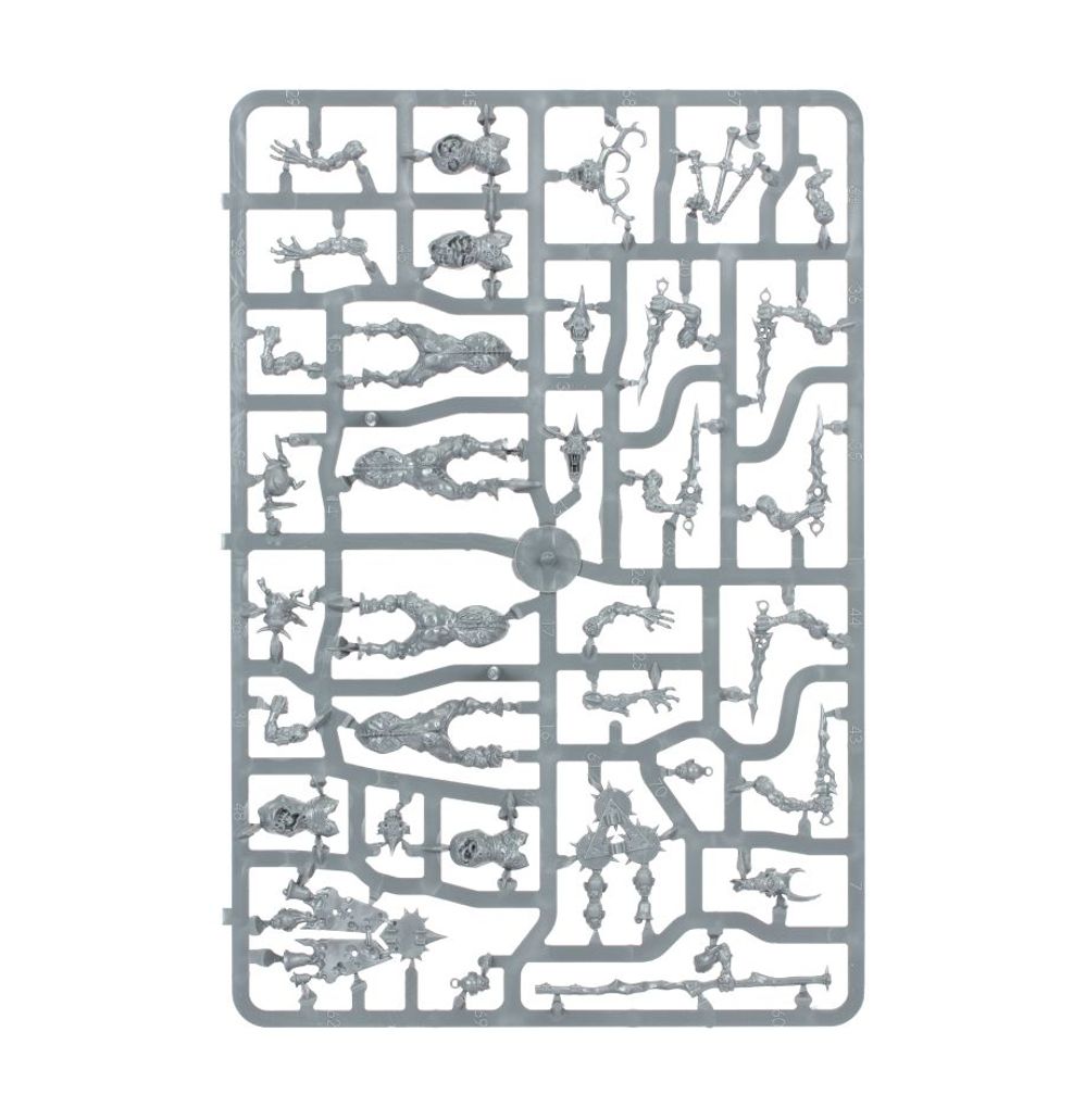 Warhammer: Maggotkin of Nurgle - Vanguard