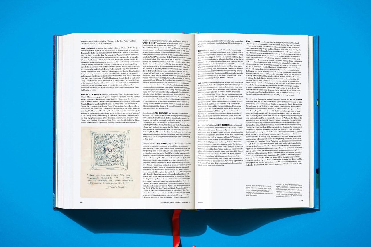 Buch, offenes Buch, Publikation, Textseiten, Leseband