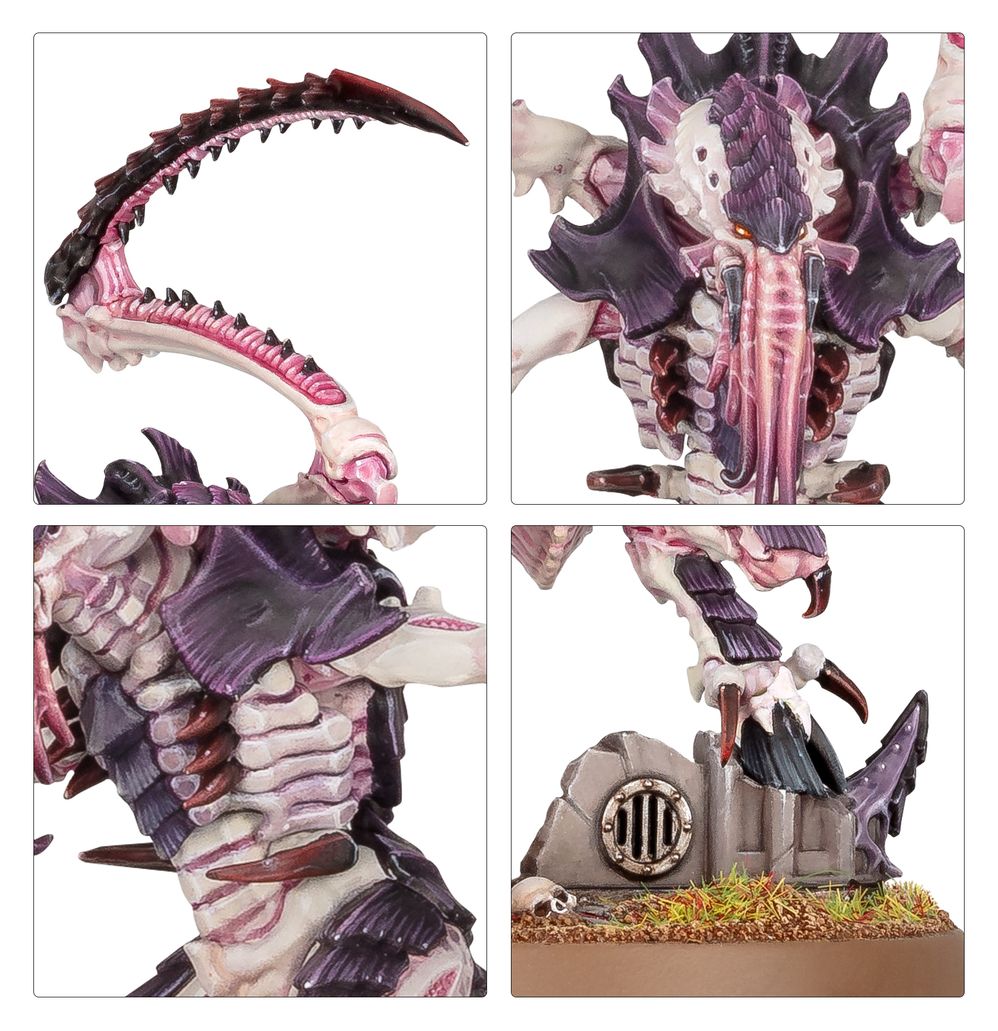 Warhammer 40K: Tyranids - Lictor