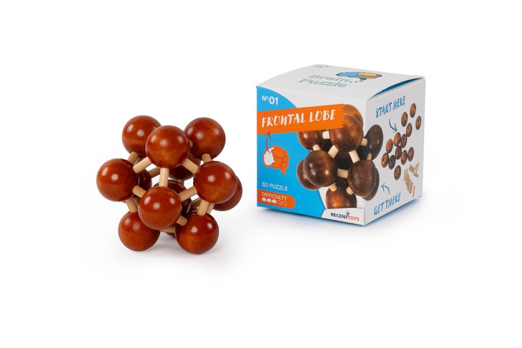 Brain Puzzle N01: Frontal Lobe Brain Puzzle N01: Frontal Lobe