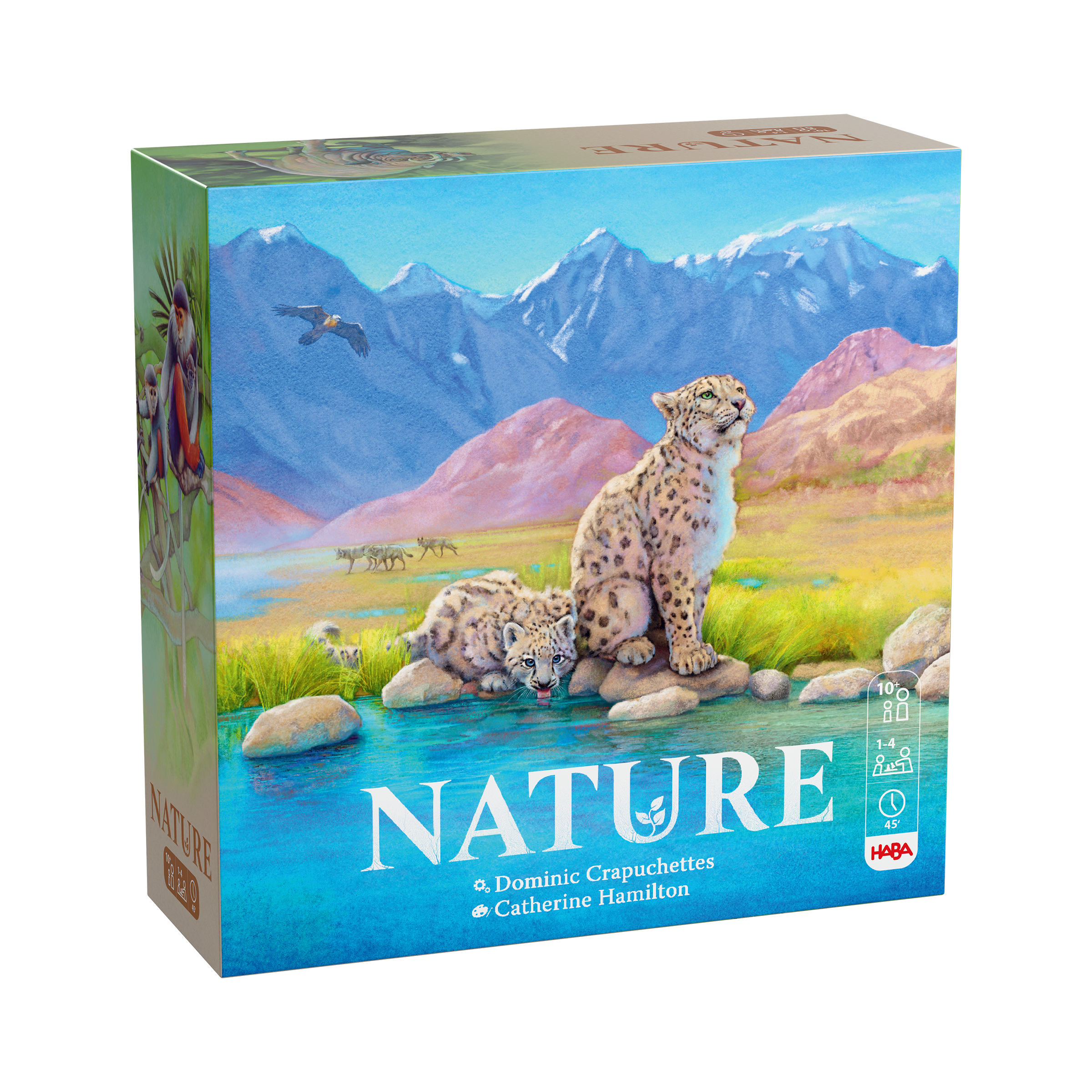 Nature, Löwen, Schneeleopard, Berglandschaft, Puzzle-Box
