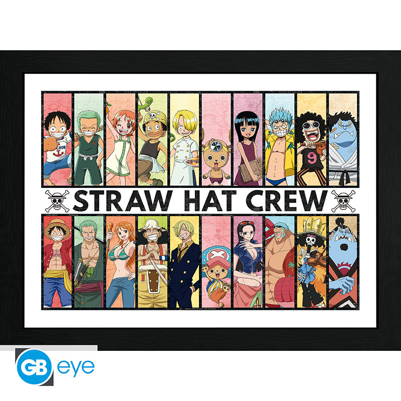 One Piece: Poster Past & Present gerahmt One Piece: Poster Past & Present gerahmt