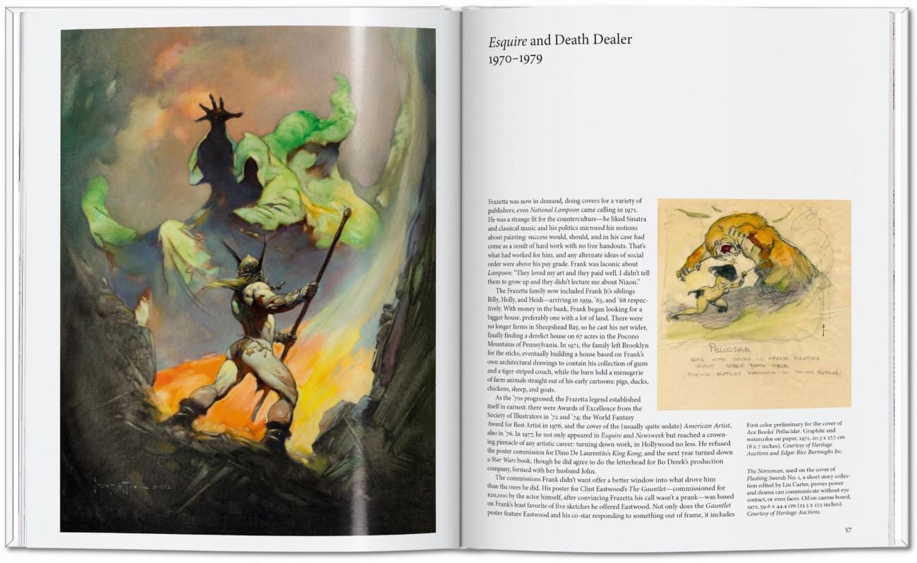 Fantasy-Kunst, Krieger, Schwert, Flamme, Greif