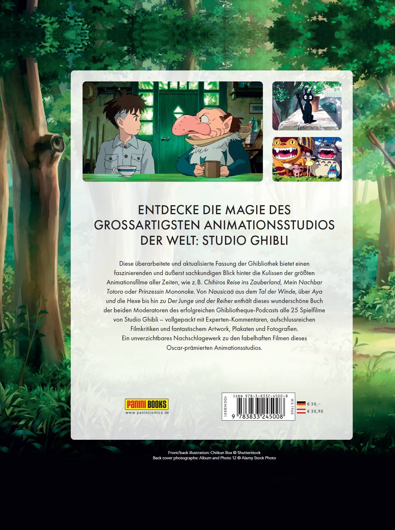 anime, Ghibli, Buchumschlag, Poster, Cover