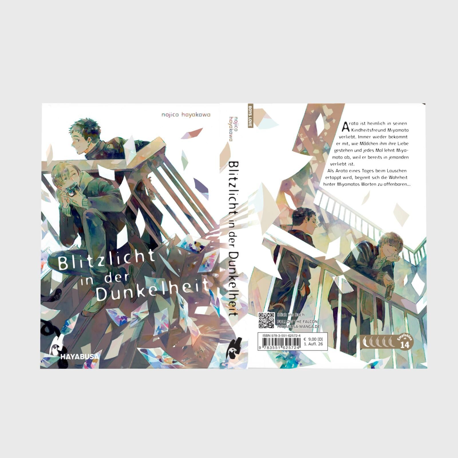 Japanese manga, Manga cover, Blitzlicht, Dunkelheit, Hayabusa