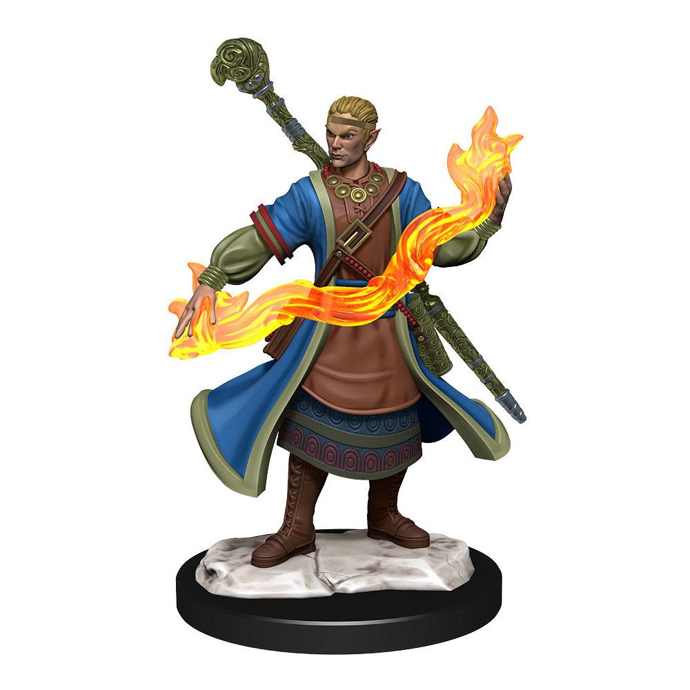 D&D Miniatures: Half-Elf Wizard Male