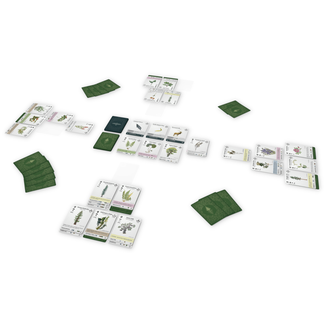 Karten-Spiel, Kartenspiel, Pflanzen, Wildkräuter, Tier-Illustrationen