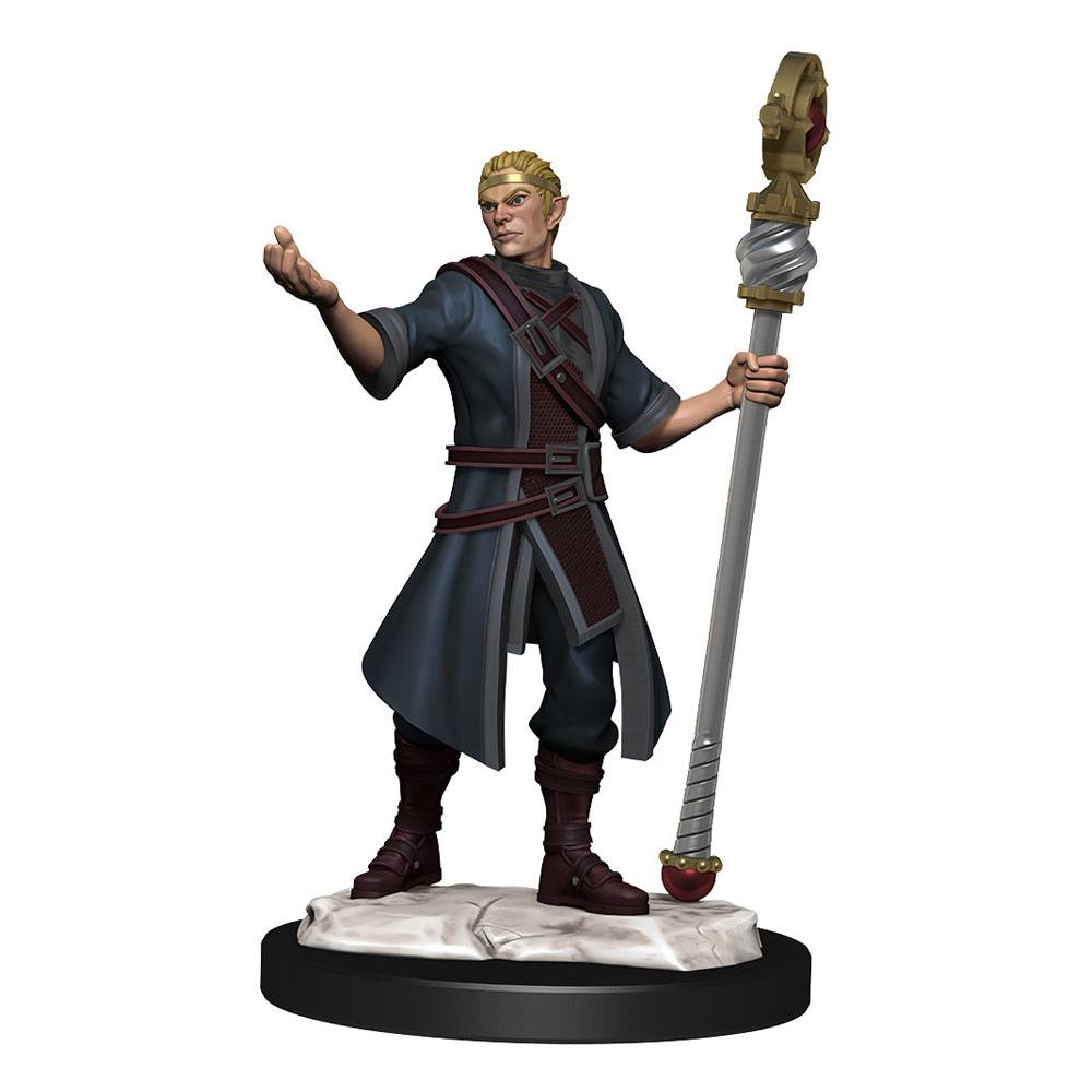 D&D Miniatures: Half-Elf Wizard Male