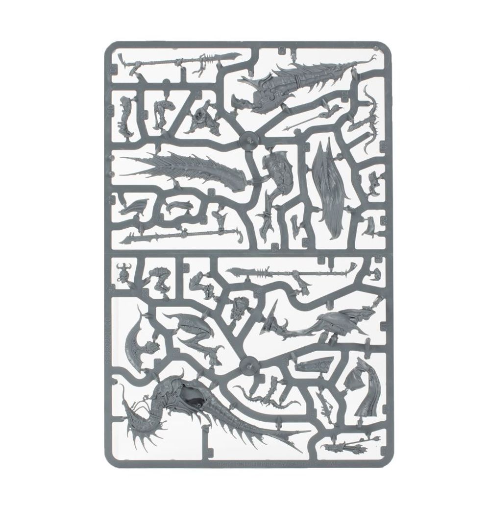 Warhammer: Hedonites of Slaanesh - Vanguard Warhammer: Hedonites of Slaanesh - Vanguard