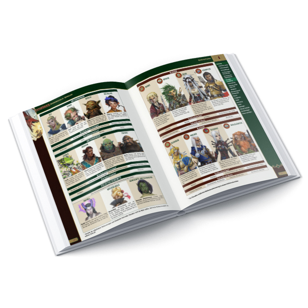 Pathfinder RSP: 2te Edition Kernregeln Spieler
