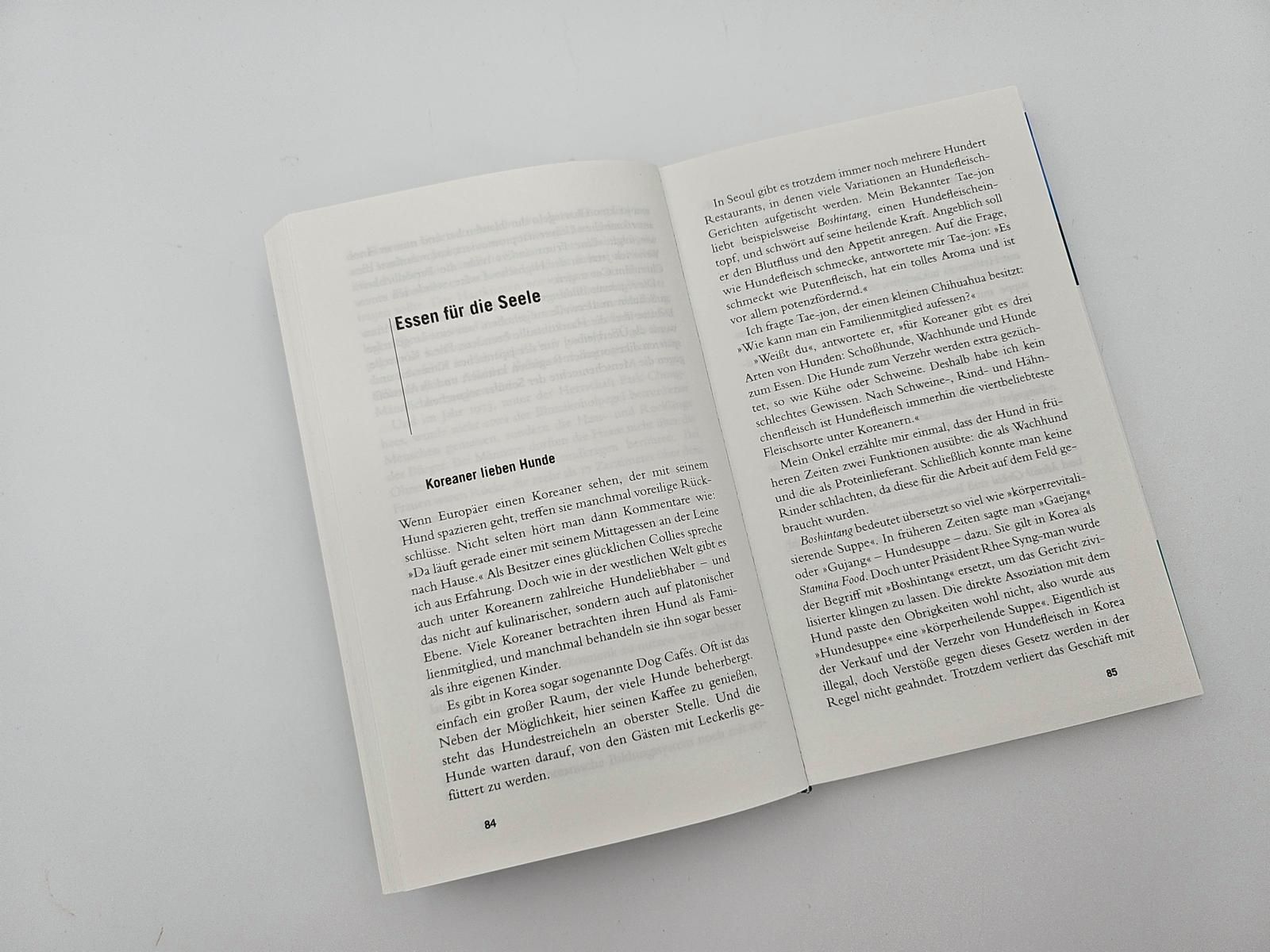 Gebrauchsanweisung für Südkorea book, magazin, offenes Buch, Text, Seiten