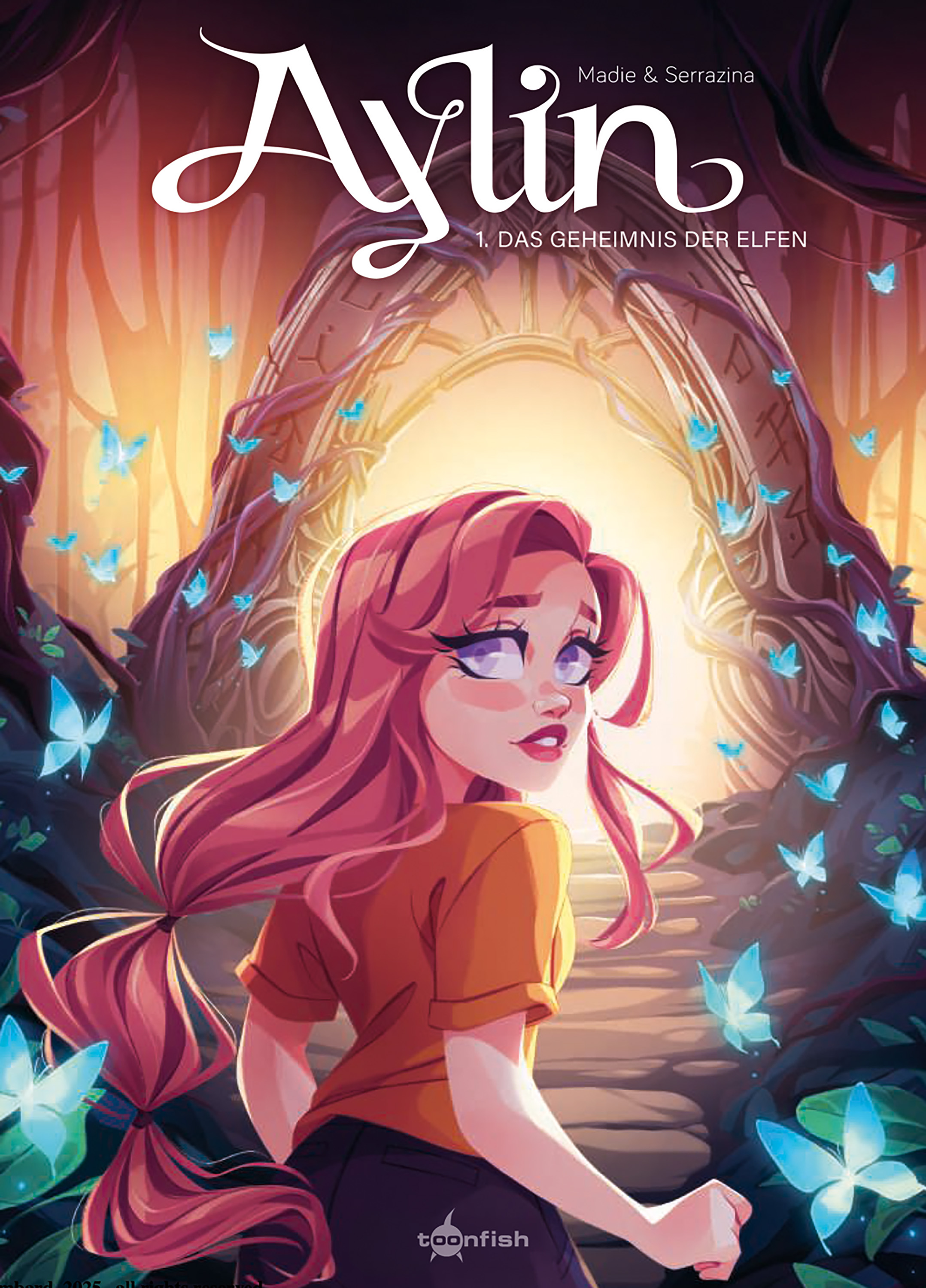 Aylin Bd.1: Das Geheimnis der Elfen Buch, Veröffentlichung, Comics, Person, Frau