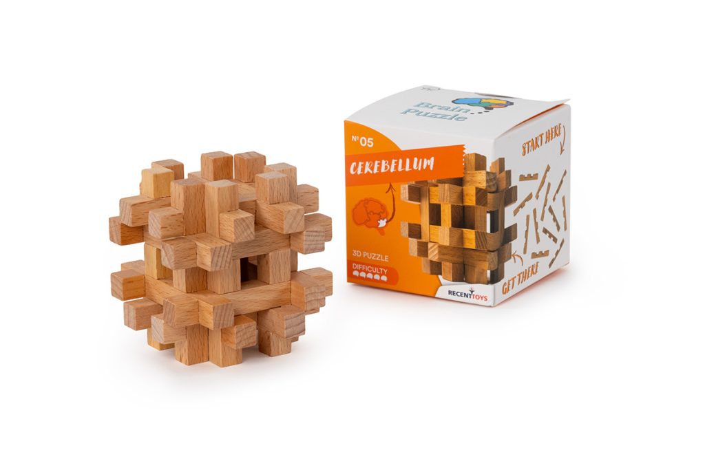Brain Puzzle N05: Cerebellum Brain Puzzle N05: Cerebellum