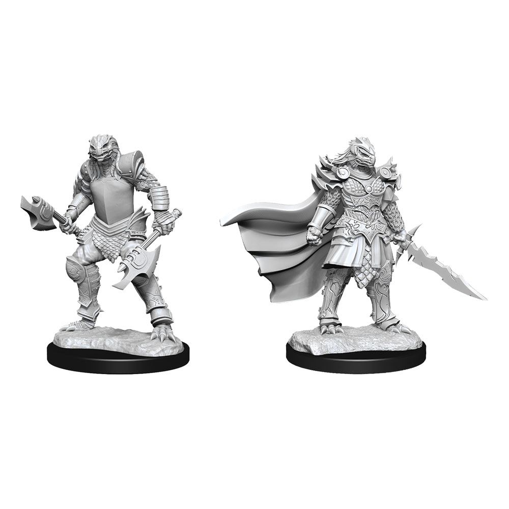 D&D Miniatures: Dragonborn Fighter Female D&D Miniatures: Dragonborn Fighter Female