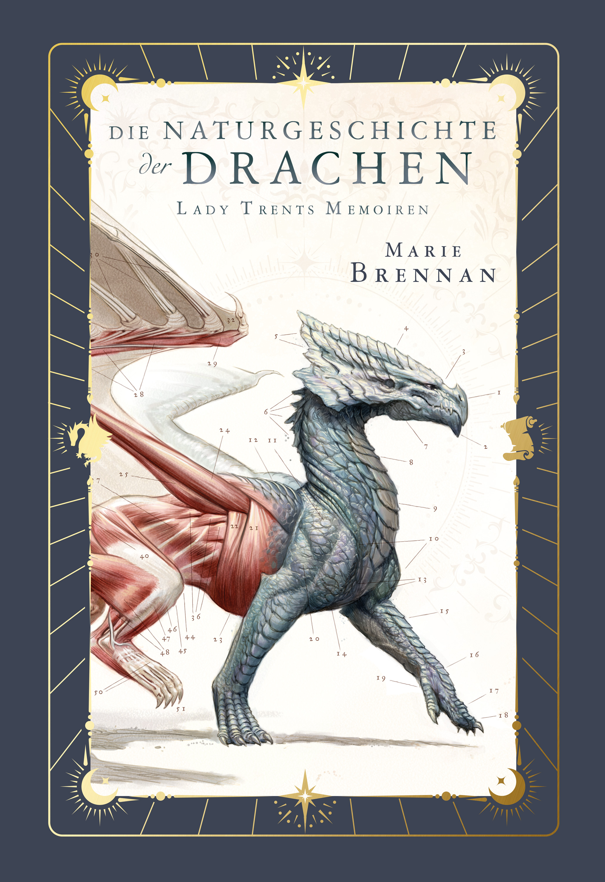 Buch, Veröffentlichung, Tier, Vogel