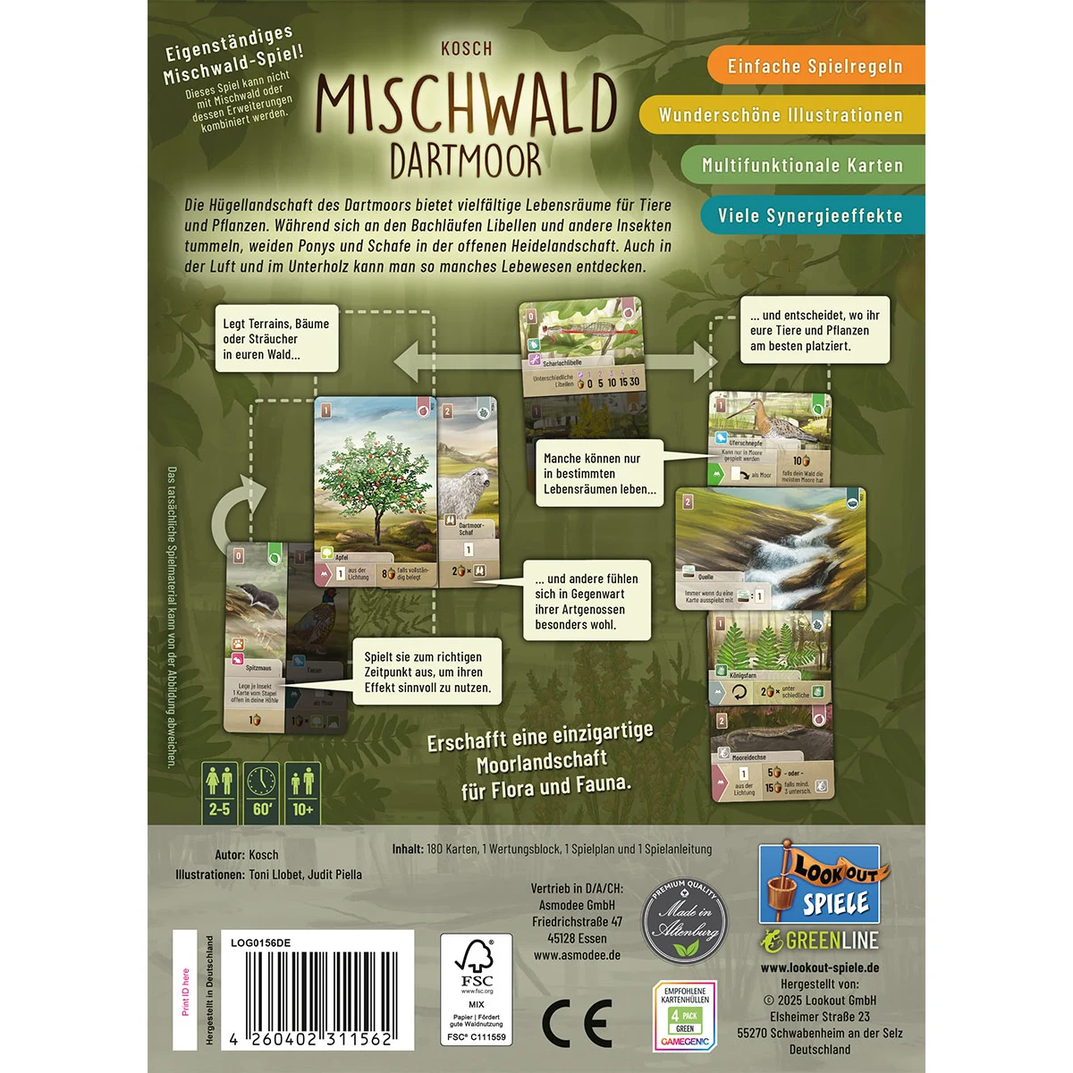Mischwald - Dartmoor