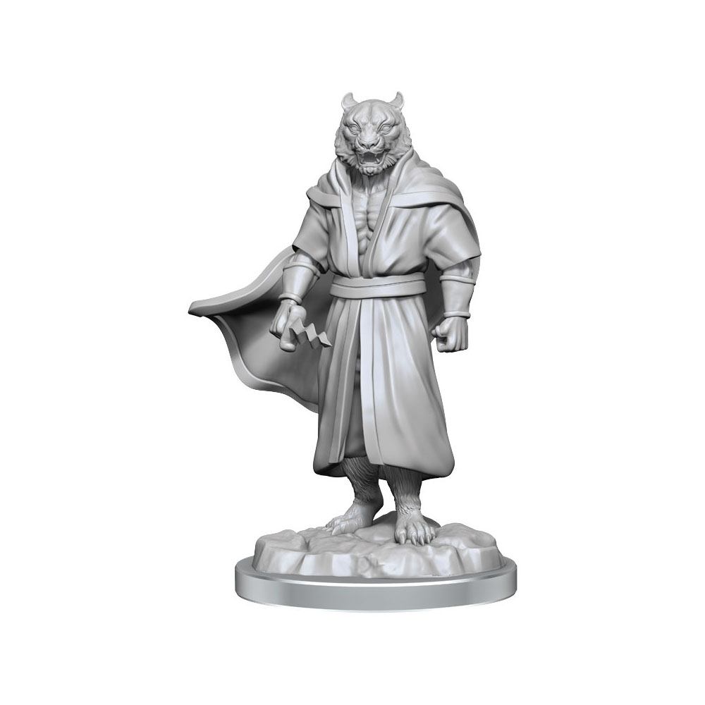 Critical Role Miniatures: Male Human Sorcerer Merchant & Tiger Demon Critical Role Miniatures: Male Human Sorcerer Merchant & Tiger Demon