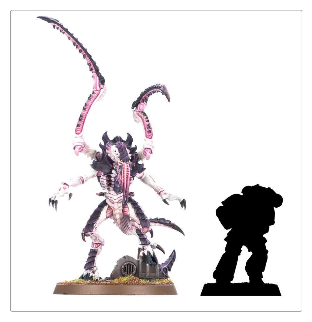 Warhammer 40K: Tyranids - Lictor