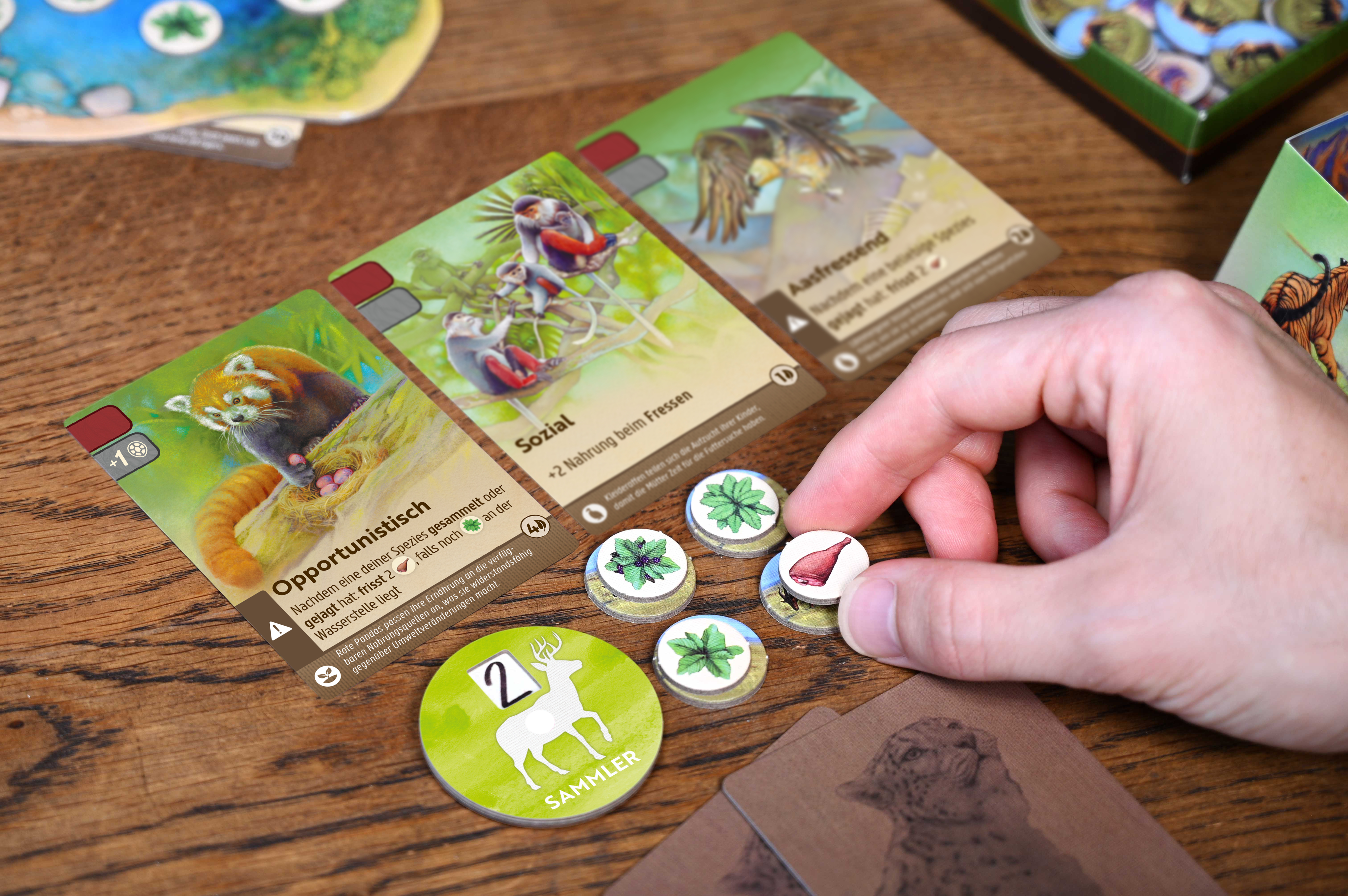 Nature Nature