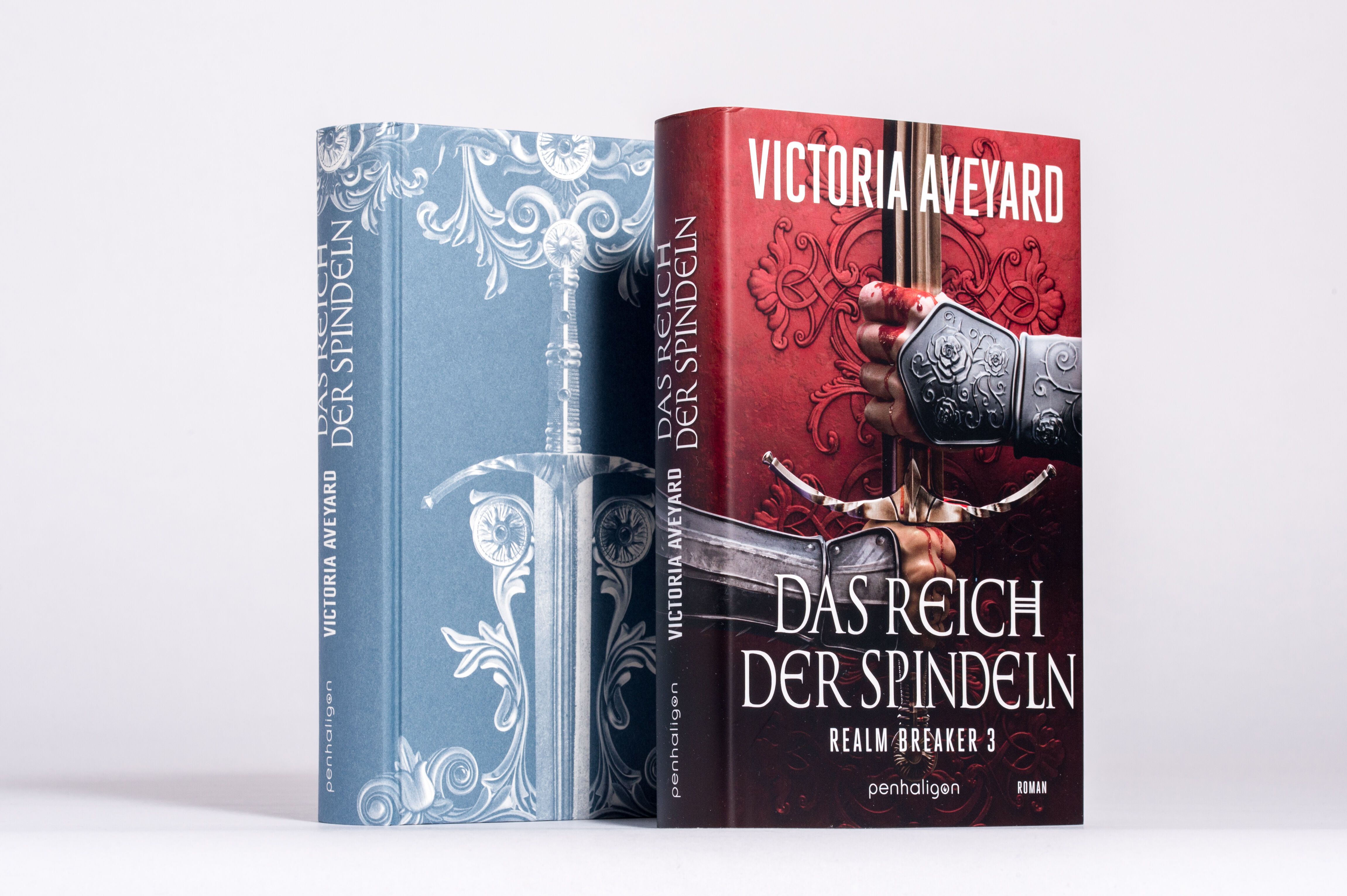 Buch, Cover, Roman, Fantasy, Band